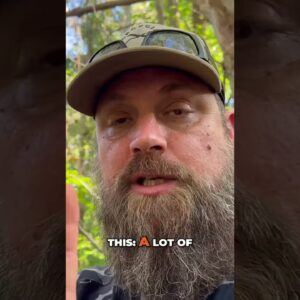 Foraging for Chestnuts: A Survival Food Guide