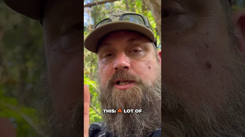 Foraging for Chestnuts: A Survival Food Guide