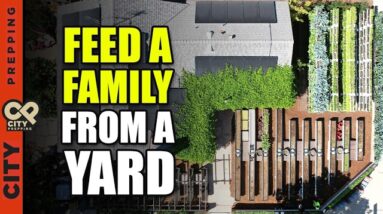How To Grow Unlimited Food In Suburbia