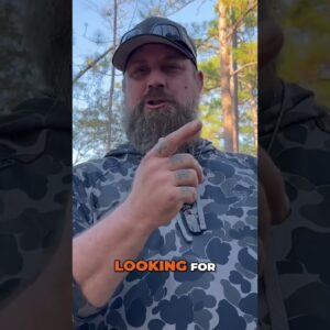 Yaupon Holly: America's Natural Caffeine Source!