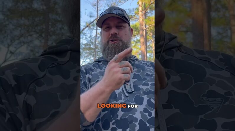 Yaupon Holly: America's Natural Caffeine Source!