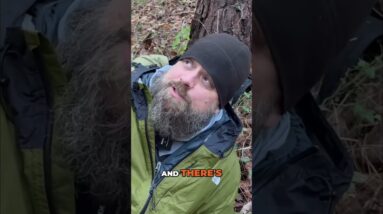 Extreme Survival Challenges: Safety First! SAR Expert's Warning