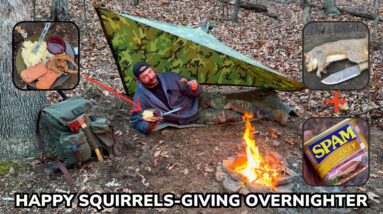 Solo Overnight Squirrels-giving Feast in the Woods