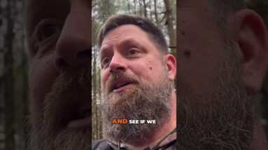 Browse Bed Survival Shelter in a Wet Pine Forest