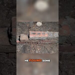 Bushcraft Fire Survival🔥Ultimate Microclimate Shelter Setup