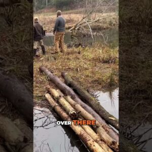 Group Survival Challenge: Building Bridge & Fire for Safety