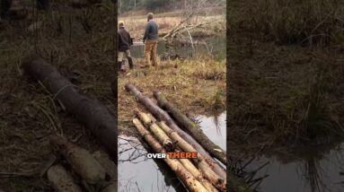 Group Survival Challenge: Building Bridge & Fire for Safety