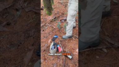 Setting Up Camp Before Dark⛺Survival Overnighter