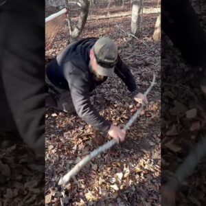 Bushcraft Trick: Make a Duff Rake!