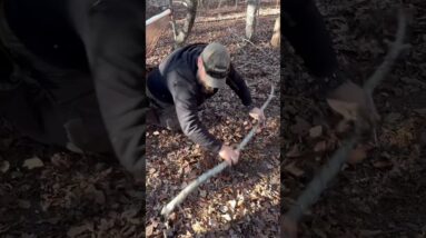 Bushcraft Trick: Make a Duff Rake!