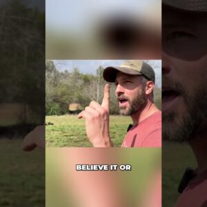 🦆Any Animal Can Be an Alarm System!