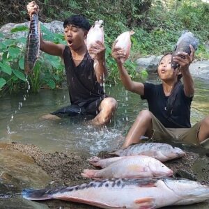 Survival skills: Catch and cook many fish so Delicious food, Eating delicious in jungle