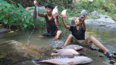 Survival skills: Catch and cook many fish so Delicious food, Eating delicious in jungle
