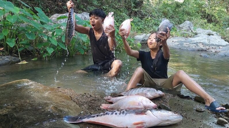 Survival skills: Catch and cook many fish so Delicious food, Eating delicious in jungle