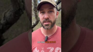 Apartment Safety - Basic Urban Prepping