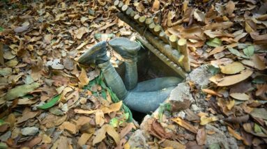 Girl Living Off Grid Build The Most Secret Underground Villa Home Shelter