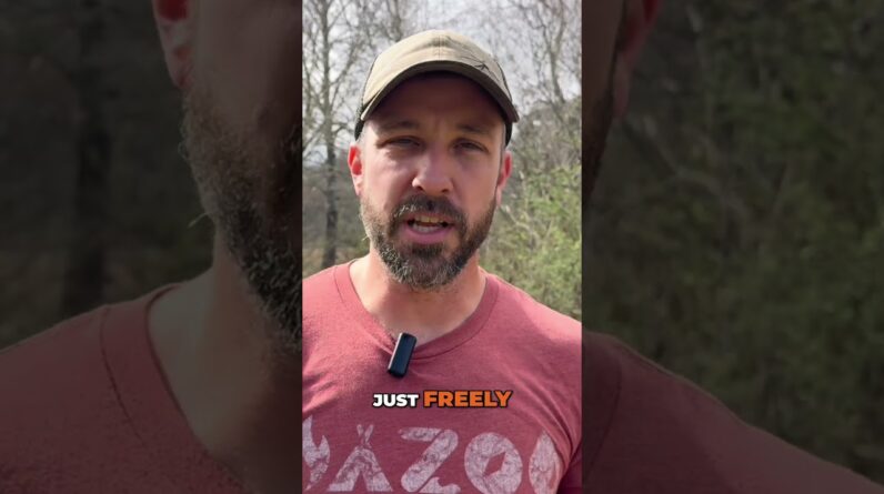 Secure Your Home - Open Spaces & Natural Barriers