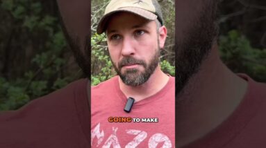 Should You Use Thorny Plants for Home Security?