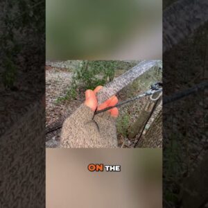 Tarp for the win! Incredible Ice Layer - Survival Overnighter