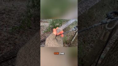 Tarp for the win! Incredible Ice Layer - Survival Overnighter