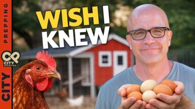 8 Things I Wish I Knew Before Starting