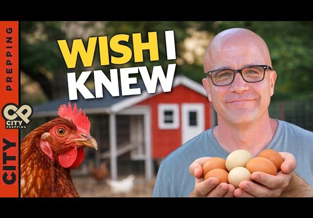 8 Things I Wish I Knew Before Starting