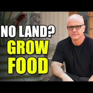If I Had No Land, This Is How I’d Still Grow Food