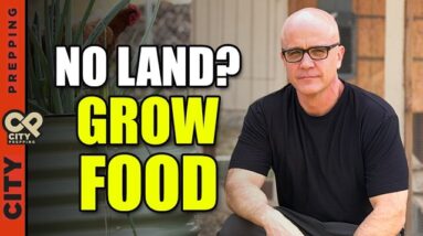 If I Had No Land, This Is How I’d Still Grow Food
