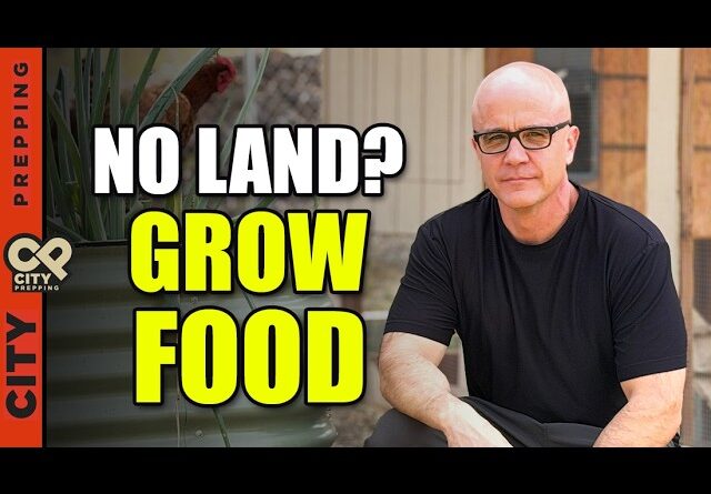 If I Had No Land, This Is How I’d Still Grow Food