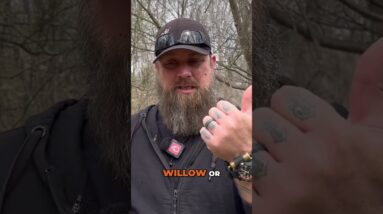 Survival Carving: Practice Knife Skills with What You Have!