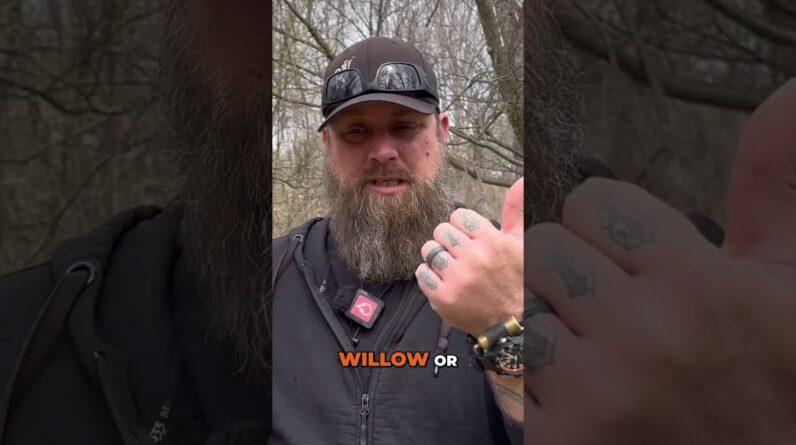 Survival Carving: Practice Knife Skills with What You Have!