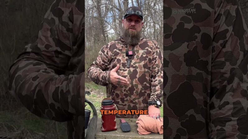 Survival is Conserving Energy. It Never Happens on a Gorgeous Day