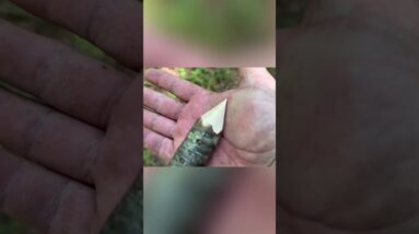 🍲Making a DIY Bushcraft Pot Holder from the Forest🪓