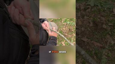 💥Make Your Survival Knife Skills BETTER and EASIER with These Techniques