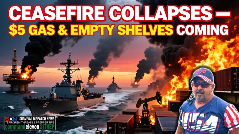 Gas Prices EXPLODE as Hormuz is Blocked! EP740