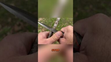 How to Carve a 7 Notch for Trapping: Great Hunting Technique!