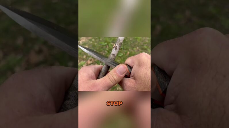 How to Carve a 7 Notch for Trapping: Great Hunting Technique!