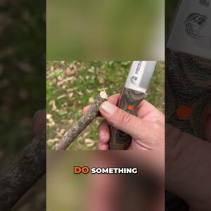 How to Carve Different Points🪵Survival and Bushcraft Skills