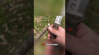 How to Carve Different Points🪵Survival and Bushcraft Skills