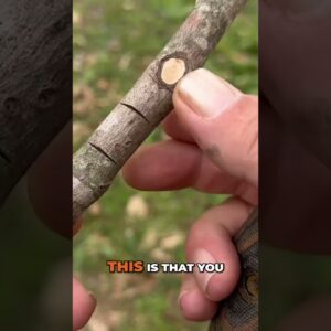 How to Make a Square Notch and When to Use It