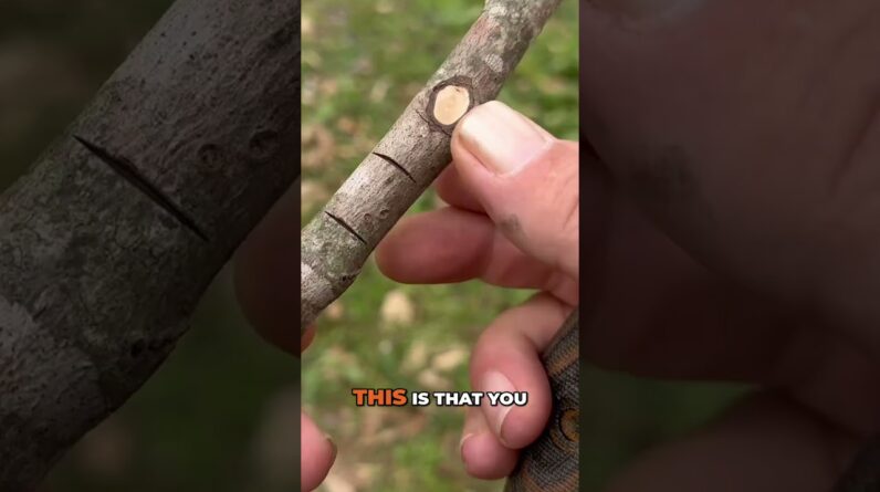 How to Make a Square Notch and When to Use It