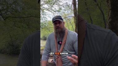 Knowing wild edible plant ID would have been SO useful!