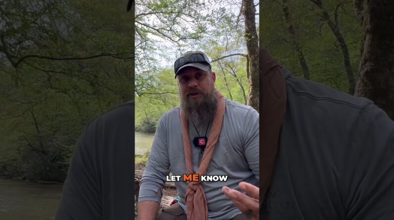 Knowing wild edible plant ID would have been SO useful!