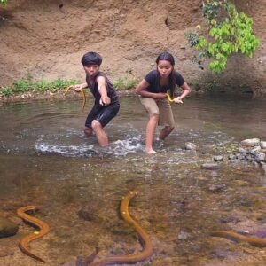 Life in jungle, Eel soup chili tasty for Eating delicious with sister