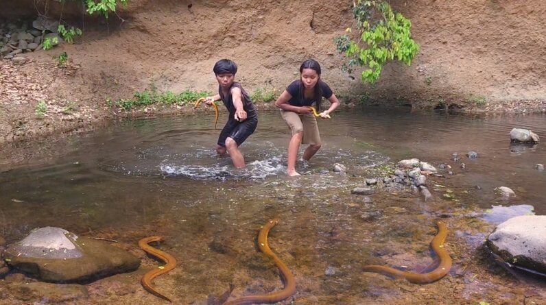Life in jungle, Eel soup chili tasty for Eating delicious with sister