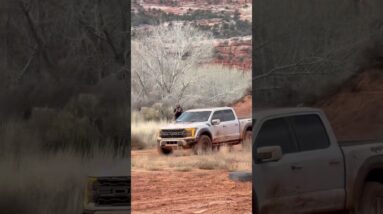 Raptor Rippin. #fieldcraftoutpost
