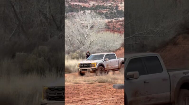 Raptor Rippin. #fieldcraftoutpost