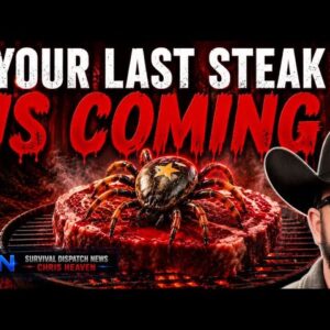 Tick Cases Exploding: Your Next Steak Could Be Your LAST Ever