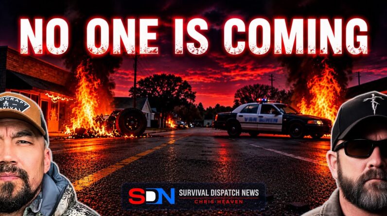 When Scarcity Strikes: Chaos Will Explode, Looting Will Begin!