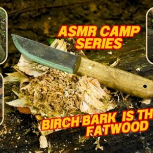 ASMR Camp Series Birch Bark the Fatwood Alternative